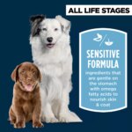 Authority? Sensitive Stomach & Skin All Life Stages Dry Dog Food - Salmon & Rice - Image 3