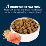 Authority? Sensitive Stomach & Skin All Life Stages Dry Dog Food - Salmon & Rice - Image 4