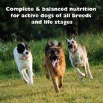 Bil-Jac 30/20 Performance All Life Stages Dry Dog Food - Chicken - Image 6