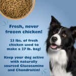 Bil-Jac? Picky No More Medium & Large Breed Adult Dry Dog Food - Chicken - Image 3