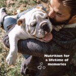 Bil-Jac? Sensitive Solutions Healthy Weight Support Adult Dry Dog Food - Chicken - Image 6