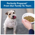 Bil-Jac? Small Breed Adult Dry Dog Food - Chicken, Oatmeal & Yams - Image 5