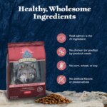 Blue Buffalo Wilderness High Protein Adult Dry Dog Food - Salmon - Image 6