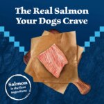 Blue Buffalo Wilderness High Protein Large Breed Adult Dog Dry Food - Salmon - Image 3