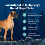 Blue Buffalo Wilderness High Protein Large Breed Adult Dog Dry Food - Salmon - Image 4