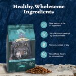 Blue Buffalo Wilderness High Protein Large Breed Adult Dog Dry Food - Salmon - Image 6