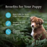 Blue Buffalo Wilderness High Protein Puppy Dry Dog Food - Chicken - Image 4