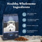 Blue Buffalo Wilderness High Protein Senior Dry Dog Food - Chicken - Image 6