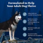 Blue Buffalo Wilderness Nature's Evolutionary Diet Adult Dog Dry Food - Grain Free, Chicken - Image 5