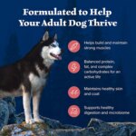 Blue Buffalo Wilderness Nature's Evolutionary Diet Adult Dog Dry Food - Grain Free, Salmon - Image 5