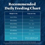 Blue Buffalo Wilderness Nature's Evolutionary Diet Adult Dog Dry Food - Grain Free, Salmon - Image 9
