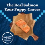 Blue Buffalo Wilderness Nature's Evolutionary Diet Puppy Dry Dog Food - Salmon - Image 3
