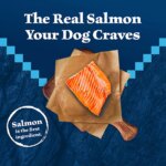 Blue Buffalo Wilderness Nature's Evolutionary Diet Senior Dry Dog Food - Salmon - Image 3