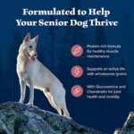 Blue Buffalo Wilderness Nature's Evolutionary Diet Senior Dry Dog Food - Salmon - Image 4