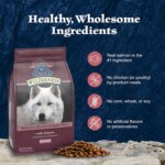 Blue Buffalo Wilderness Nature's Evolutionary Diet Senior Dry Dog Food - Salmon - Image 6