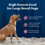 Blue Buffalo Wilderness Rocky Mountain Recipe Large Breed Adult Dog Dry Food - Bison, 22 lb - Image 4