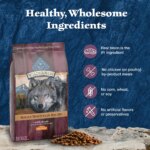 Blue Buffalo Wilderness Rocky Mountain Recipe Large Breed Adult Dog Dry Food - Bison, 22 lb - Image 5
