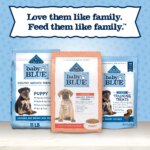 Blue Buffalo? Baby BLUE? Healthy Growth Formula Large Breed Puppy Dry Dog Food - Chicken - Image 9