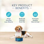 Blue Buffalo? Basics? Skin & Stomach Care Healthy Weight Adult Dry Dog Food - Turkey & Potato - Image 4