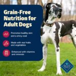 Blue Buffalo? Freedom? Adult Dry Dog Food - Grain Free, Beef & Potatoes - Image 3