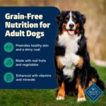 Blue Buffalo? Freedom? Adult Dry Dog Food - Grain Free, Lamb - Image 3