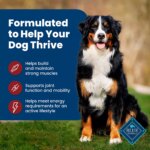 Blue Buffalo? Life Protection Formula? Adult Dry Dog Food - Beef & Brown Rice - Image 4