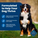 Blue Buffalo? Life Protection Formula? Adult Dry Dog Food - Chicken & Brown Rice - Image 4