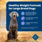 Blue Buffalo? Life Protection Formula? Healthy Weight Large Breed Adult Dog Dry Food - Chicken - Image 4