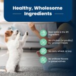 Blue Buffalo? Life Protection Formula? Puppy Dry Dog Food - Lamb & Oatmeal - Image 6