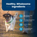 Blue Buffalo? Life Protection Formula? Small Bite Adult Dog Dry Food - Chicken & Brown Rice - Image 6