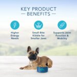 Blue Buffalo? Life Protection Formula? Small Breed Adult Dry Dog Food - Chicken & Brown Rice - Image 5