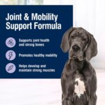 Blue Buffalo? True Solutions? Jolly Joints All Life Stages Dry Dog Food - Chicken - Image 4