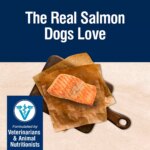 Blue Buffalo? True Solutions? Perfect Coat All Life Stages Dry Dog Food - Salmon - Image 3