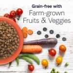 Canidae? Under the Sun Adult Dry Dog Food - Grain Free, Lamb - Image 7