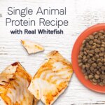 Canidae? Under the Sun Adult Dry Dog Food - Grain Free, Whitefish - Image 5