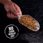 Crave Adult Dry Dog Food - Beef - Image 3