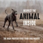 Crave Adult Dry Dog Food - Beef - Image 4