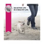 Eukanuba? Large Breed Puppy Dry Dog Food - Chicken - Image 8