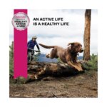 Eukanuba? Large Breed Senior Dry Dog Food - Chicken - Image 8