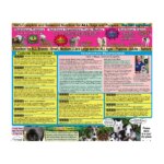 Gentle Giants All Life Stages Dog Dry Food - Natural, Non GMO, Chicken - Image 7