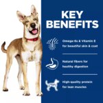 Hill's Science Diet Adult Dog Dry Food - Salmon & Brown Rice Recipe - Image 6