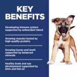 Hill's Science Diet Large Breed Puppy Dry Dog Food - Chicken & Brown Rice - Image 4