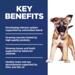 Hill's Science Diet Large Breed Puppy Dry Dog Food - Lamb & Brown Rice - Image 4