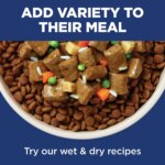 Hill's? Science Diet? Light Small Bites Adult Dry Dog Food - Chicken & Barley - Image 7