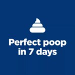 Hill's Science Diet Perfect Digestion Small & Mini Adult Dog Dry Food - Chicken & Brown Rice Recipe - Image 3