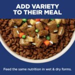 Hill's Science Diet Perfect Digestion Small & Mini Adult Dog Dry Food - Chicken & Brown Rice Recipe - Image 8