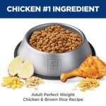 Hill's Science Diet Perfect Weight Adult Dry Dog Food - Chicken - Image 7