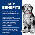 Hill's Science Diet Perfect Weight & Joint Support Adult Dry Dog Food - Chicken & Brown Rice - Image 5