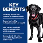 Hill's Science Diet Perfect Weight & Joint Support Large Breed Adult Dry Dog Food - Chicken & Rice - Image 7