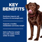 Hill's Science Diet Perfect Weight Large Breed Adult Dry Dog Food - Chicken - Image 5